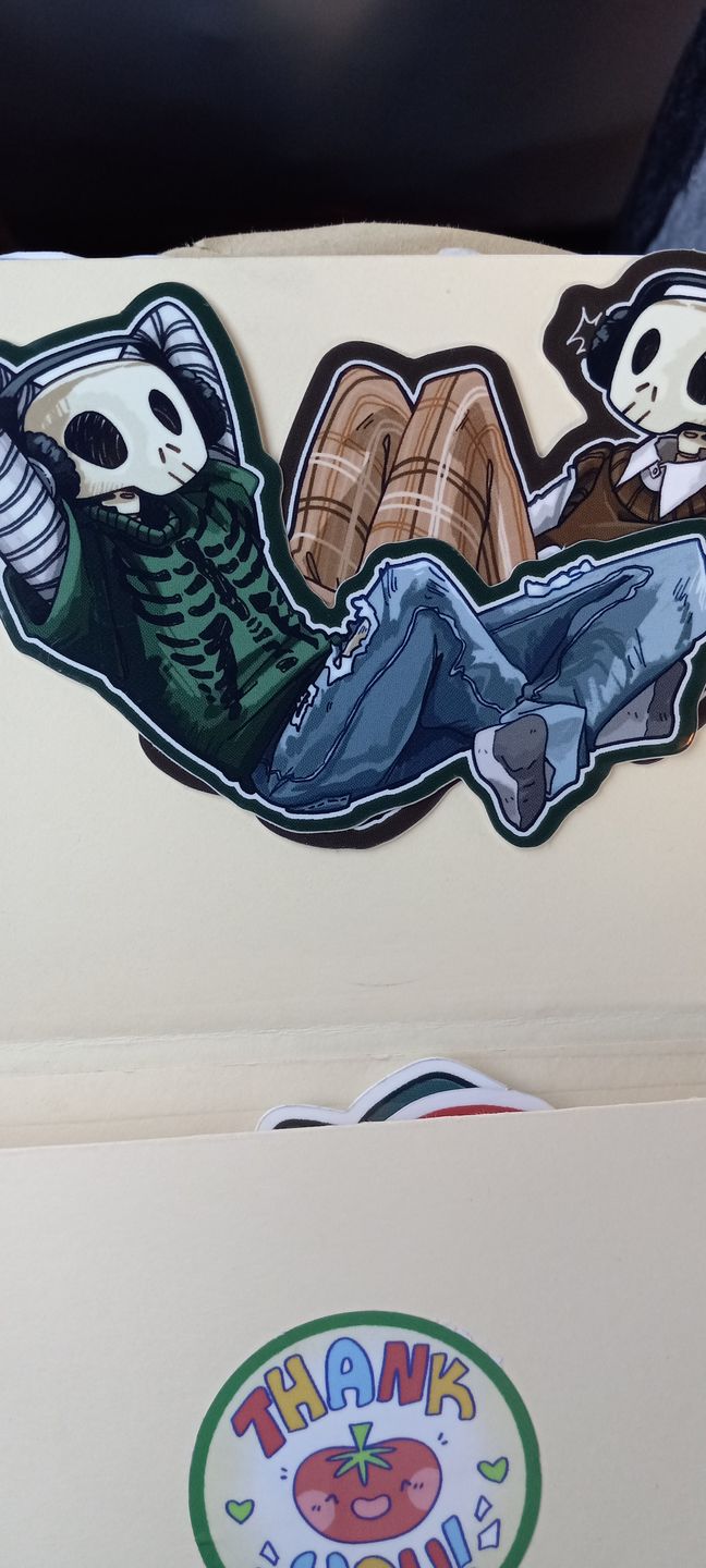 Customer photo review of Aesthetic Skeleton Stickers