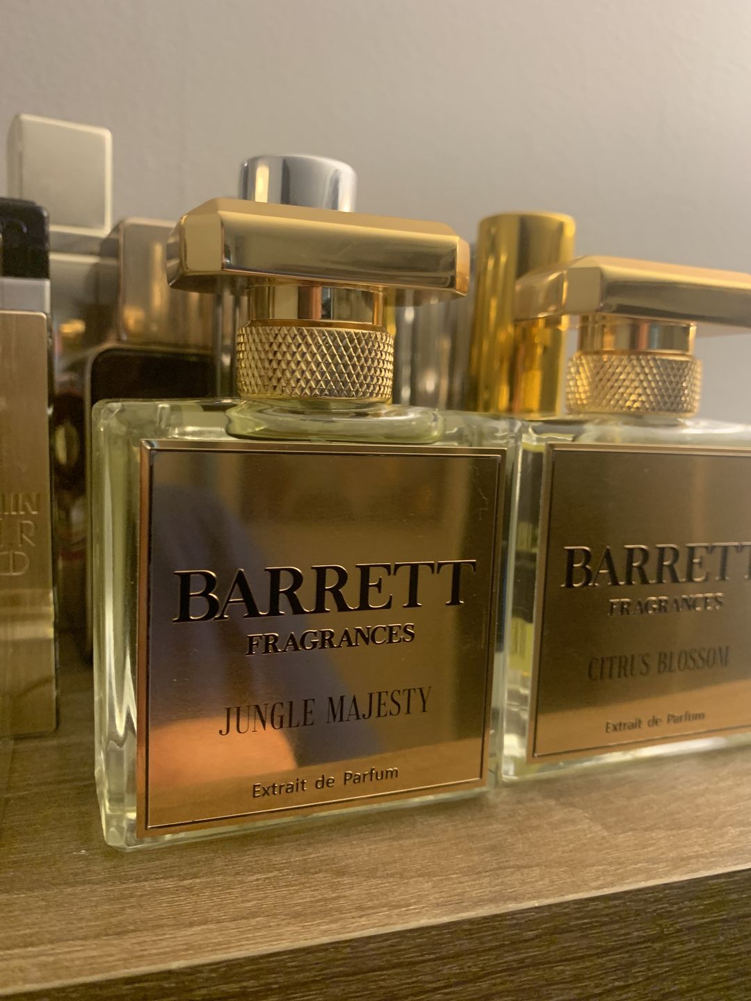 Customer photo review of Jungle Majesty inspired by Tygar