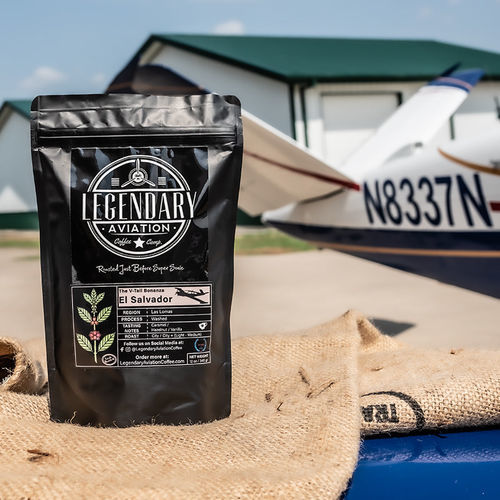 Customer photo review of The V-Tail Bonanza - BEST SELLER
