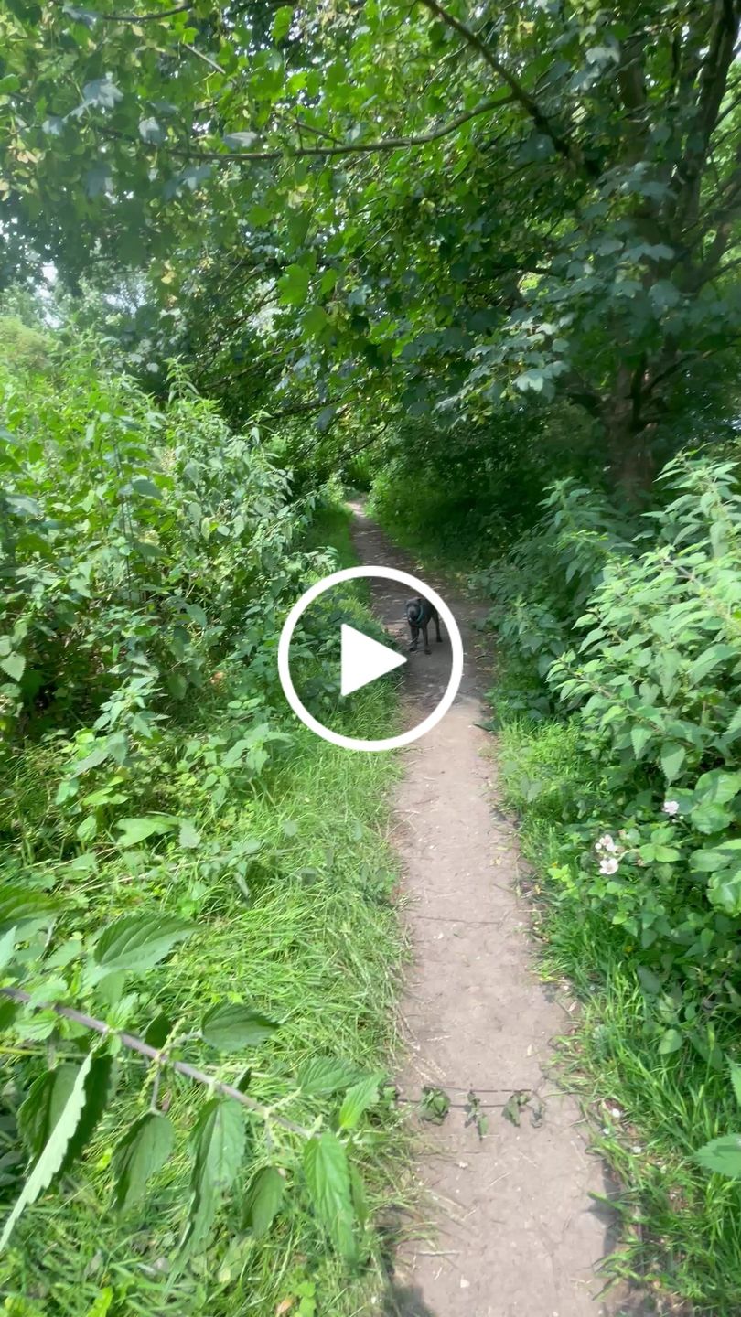 Customer video review of 2.5cm Combat® Collar | With Handle & Rated Clip - Light Blue v2.0