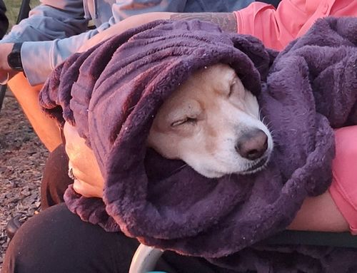 Customer photo review of ByteTag Slide