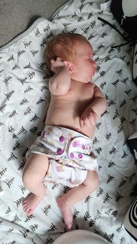 Customer photo review of Patterned Basics Pocket Cloth Diaper with Athletic Wicking Jersey Version 2.0