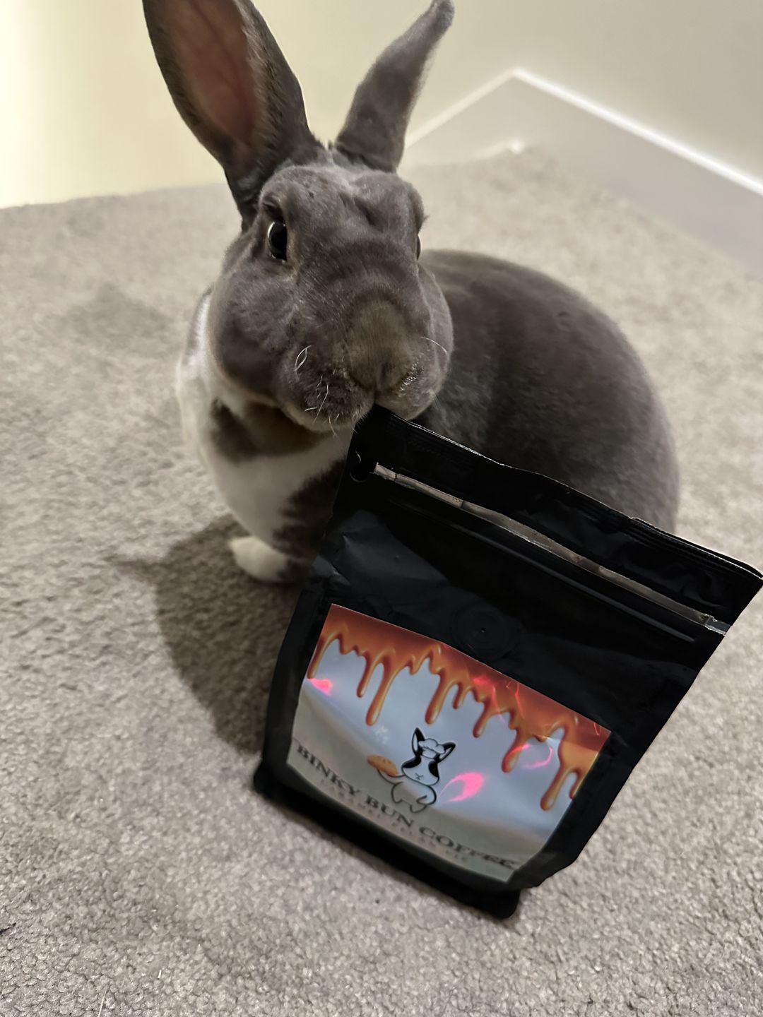 Customer photo review of Caramel Pecan Pie (Bean)