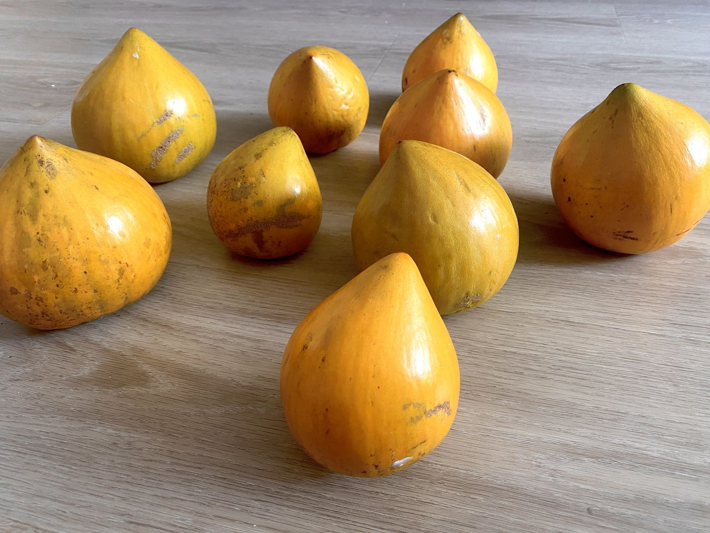 Customer photo review of Eggfruit (Canistel) Box *Pre-Order*