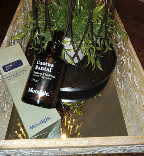 Customer photo review of Cactus + Santal