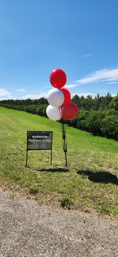 Customer photo review of BalloonBobber® 5-Balloon Cluster Pole Kit