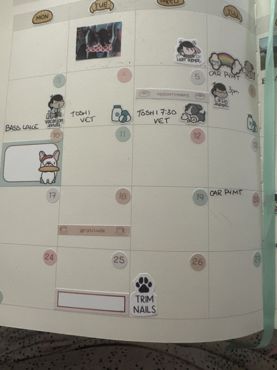 Customer photo review of Trim Nails Planner Stickers
