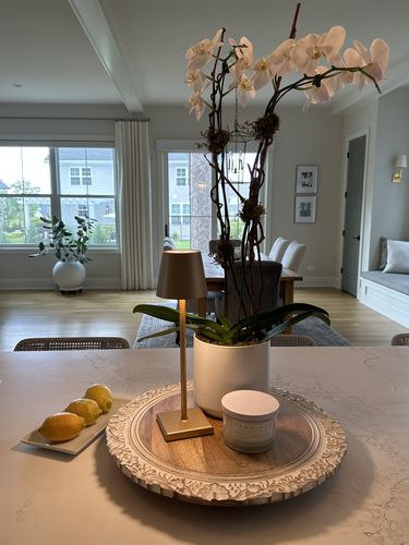 Customer photo review of Florence: Italian Designer Lamp