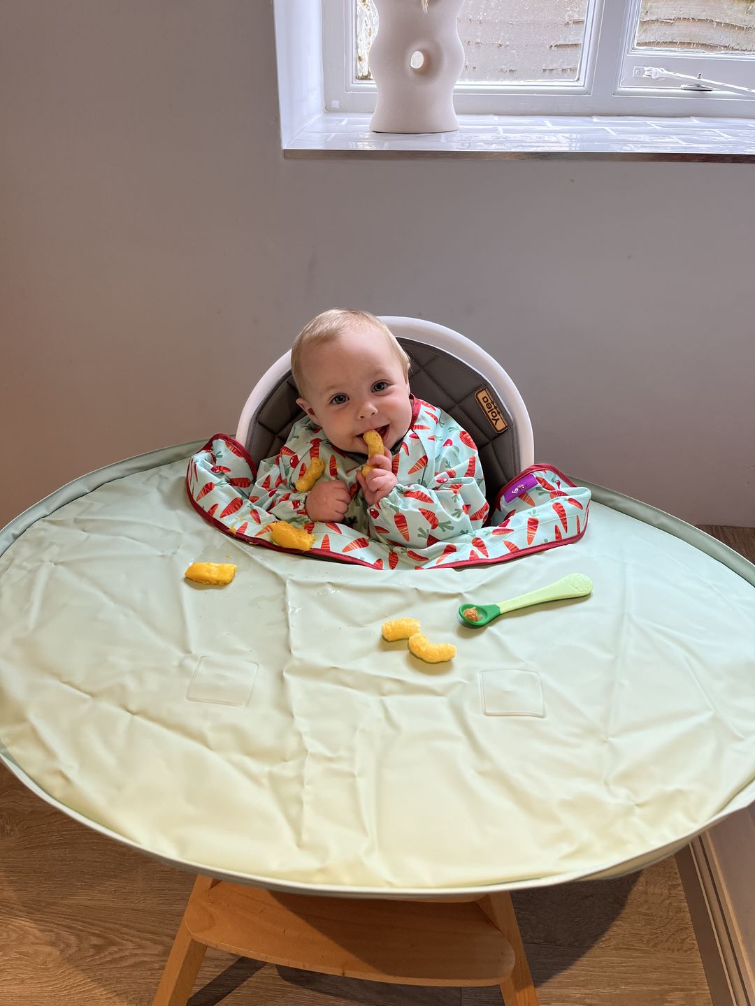 Customer photo review of Bib & Tray Kit