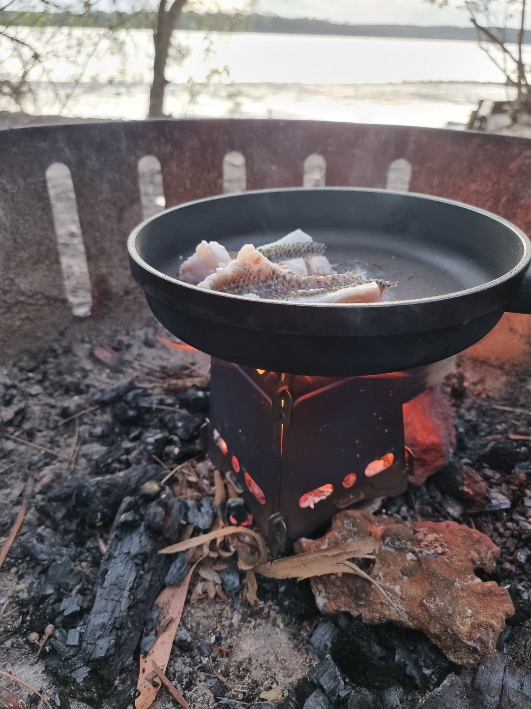 Customer photo review of Titanium Flatpack Twig Stove