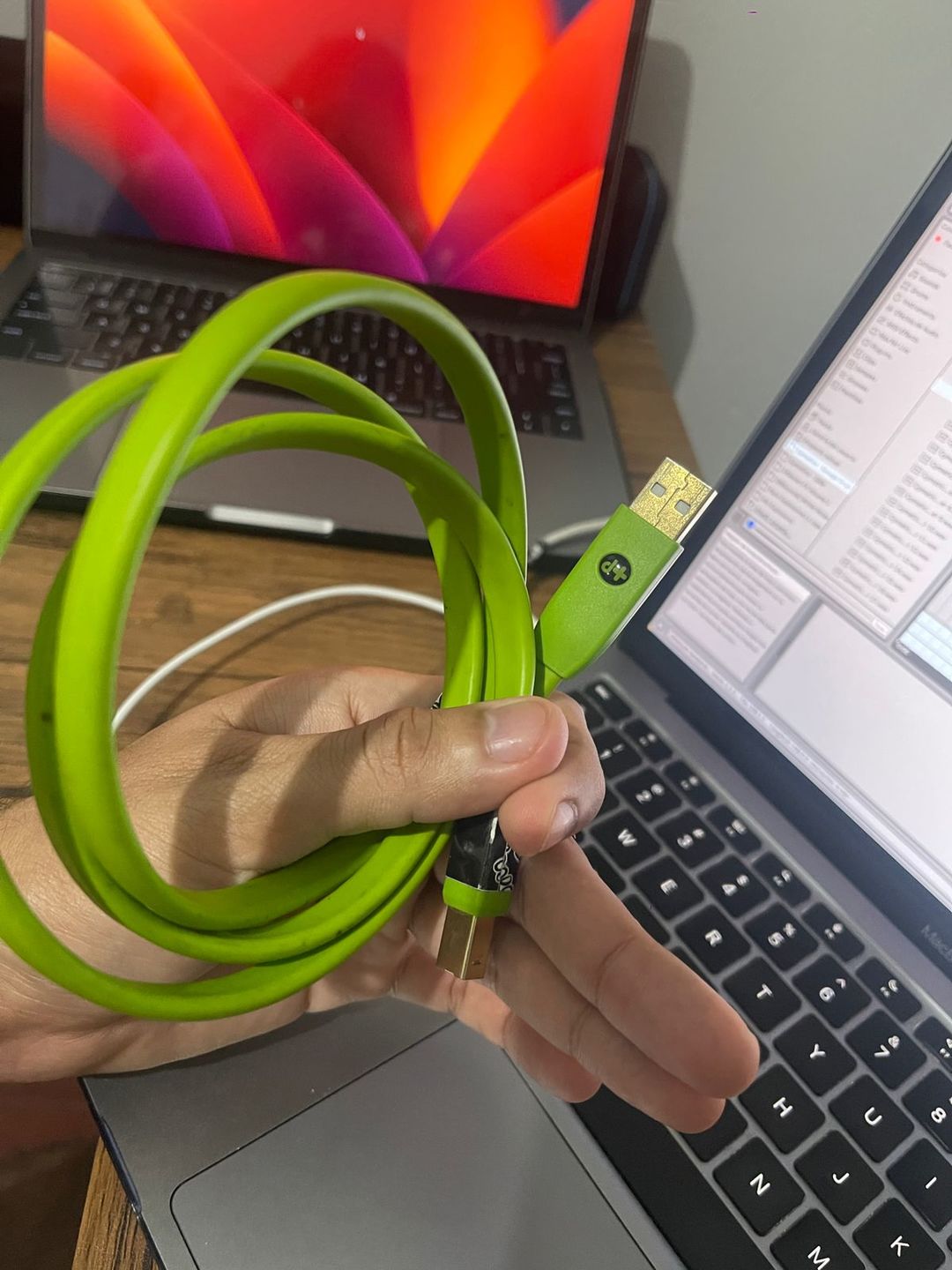 Customer photo review of Oyaide NEO d+ Class B USB Type-C to Type-B Cable