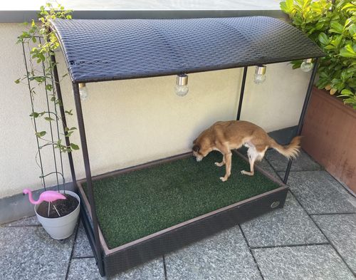 Customer photo review of Porch Potty Standard