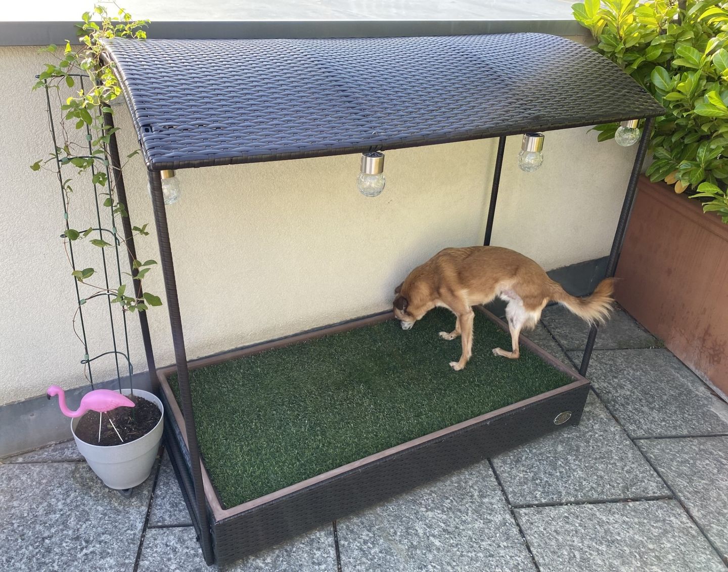 Customer photo review of Porch Potty Standard