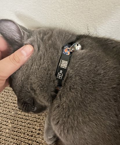 Customer photo review of ByteTag Slide