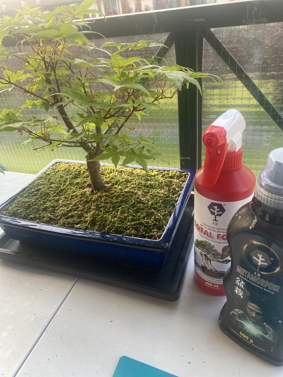 Customer photo review of TOTAL FORCE CB® (AFIDI, COCCINIGLIA, RAGNETTO ROSSO, MAL BIANCO)