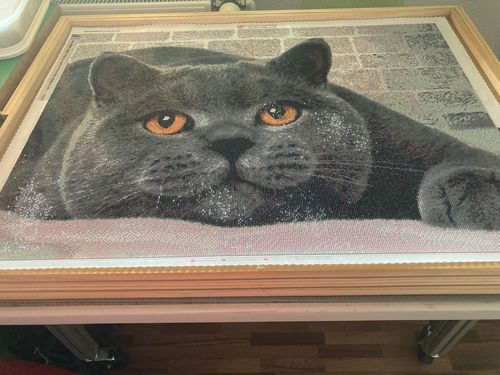 Customer photo review of 5D Diamond Painting Grauer Kater