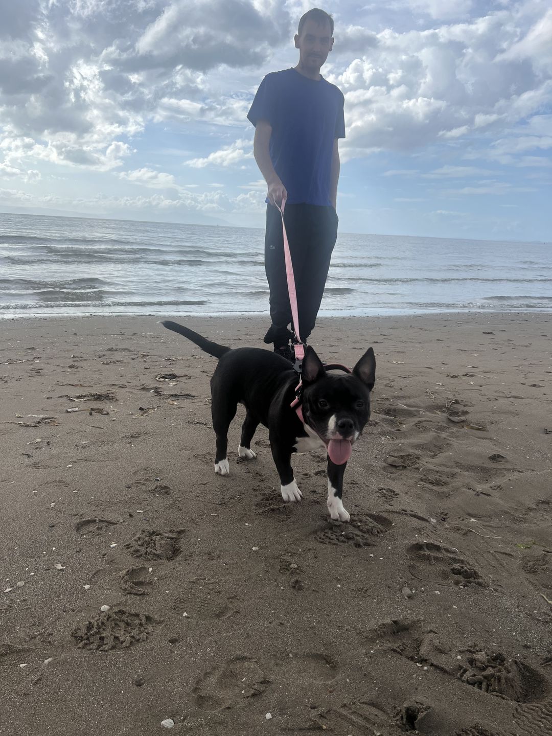Customer photo review of 1.4m Swivel Combat Lead | Neoprene Lined, Secure Rated Clip with Soft Handle - Pink