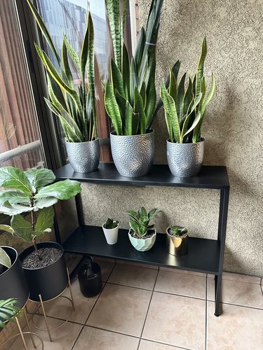 Customer photo review of Arrimo Dos Niveles | Línea Metal Black