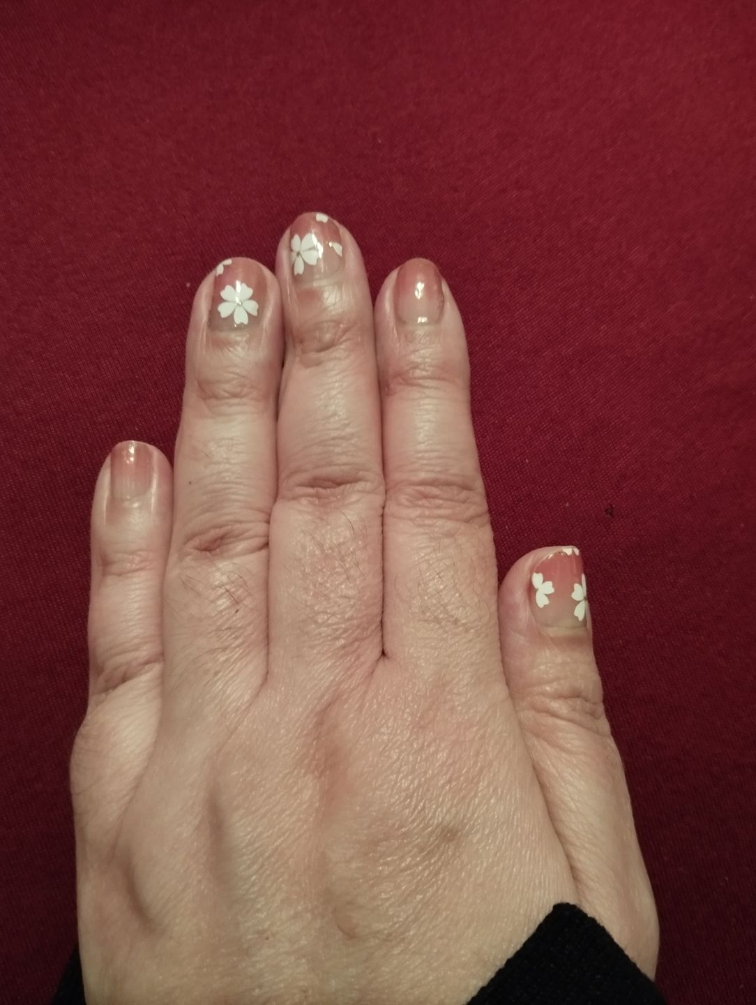 Customer photo review of Cherry Blossom