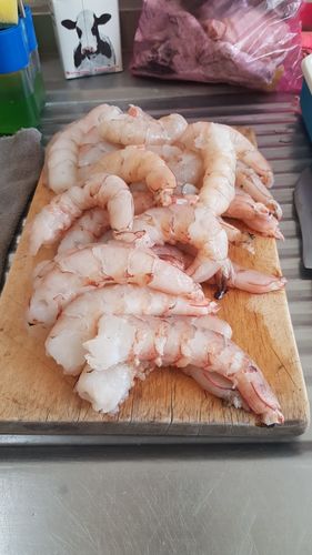 Customer photo review of Camarón U10