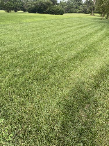 Customer photo review of GCI Turf Ca (Calcium) 1-0-1