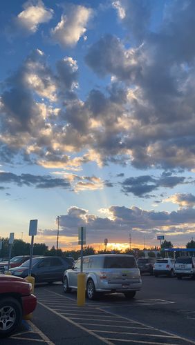 Customer photo review of Shipping Protection