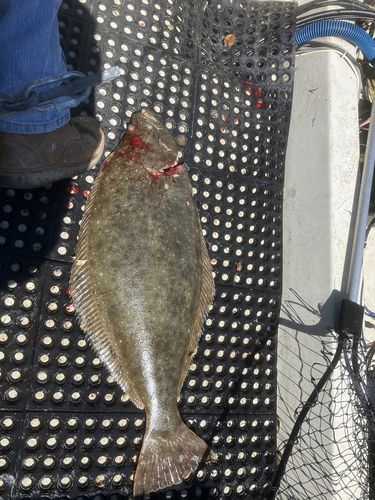 Customer photo review of Fisherman's Life® Cable Baiters 5/0 Wide Gap Hooks For Salmon Fishing