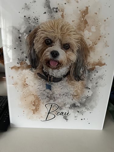 Annemarie H. review of Your Dog as Watercolor Portrait image 1 out of 1