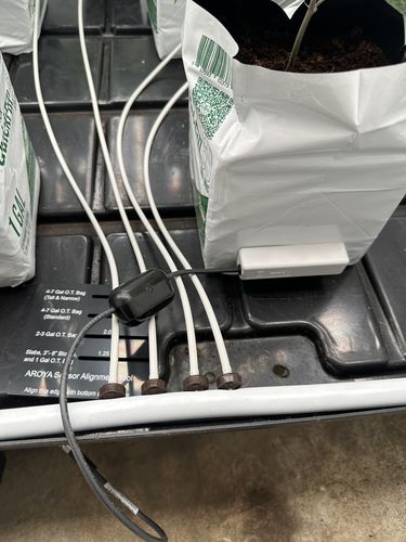 Customer photo review of Aroya SOLUS EC Meter. 3 in 1 Soil Moisture, EC and Temp Sensor For Grow Mediums