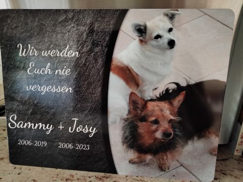 Customer photo review of Hunde Gedenktafel mit Foto & Spruch