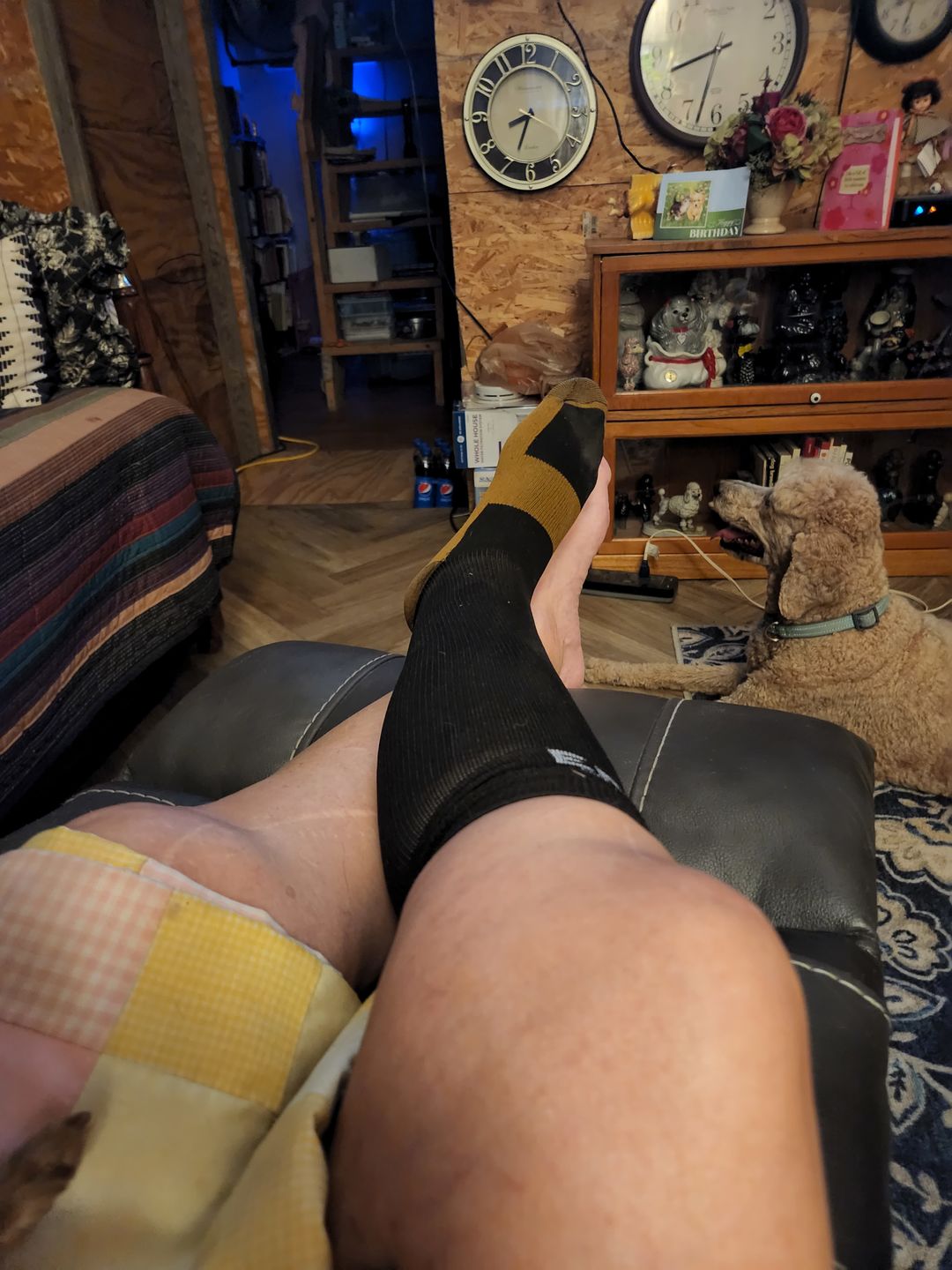 Customer photo review of Copper Compression Socks (3-Pack)