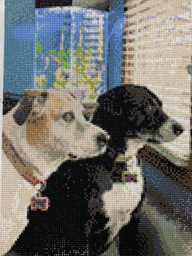Customer photo review of Custom Diamond Painting Kits for Adults DIY 5D - Photo Diamond Art Shipped from USA