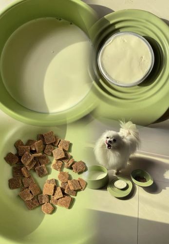 Customer photo review of Michu Premium Ceramic Cat Bowl Set for Discerning Owners