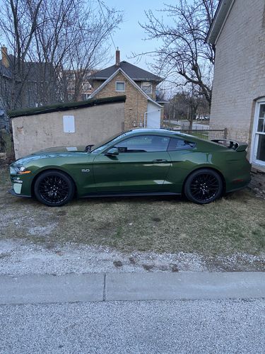 Customer photo review of Custom Car Portrait