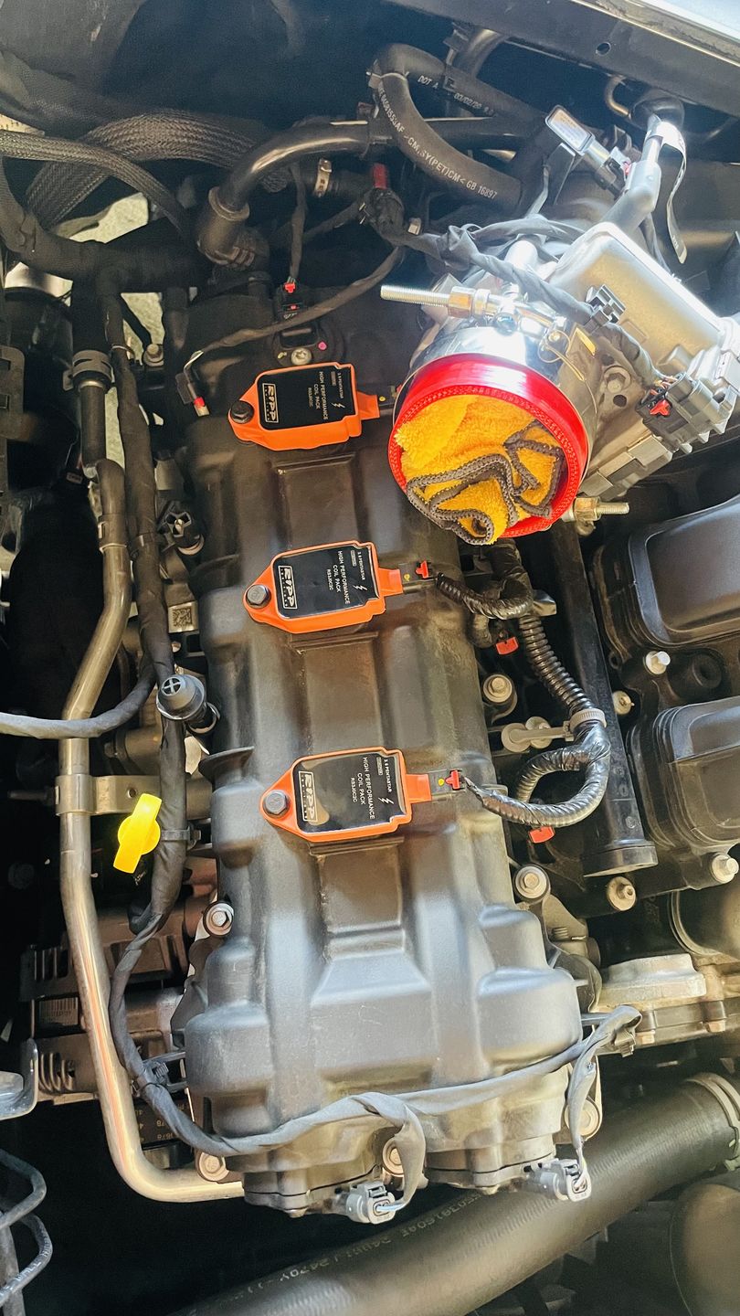 Customer photo review of RIPP High Performance Coil Packs