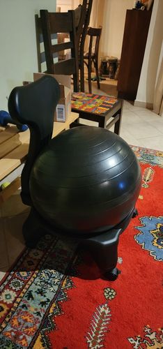Customer photo review of כסא כדור פיזיו עם משענת גב, לבוגרים