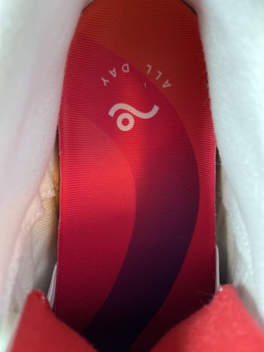 Customer photo review of All Day Insoles
