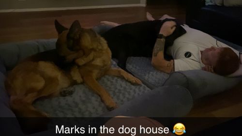 Customer photo review of PaWz Pet Sofa Bed