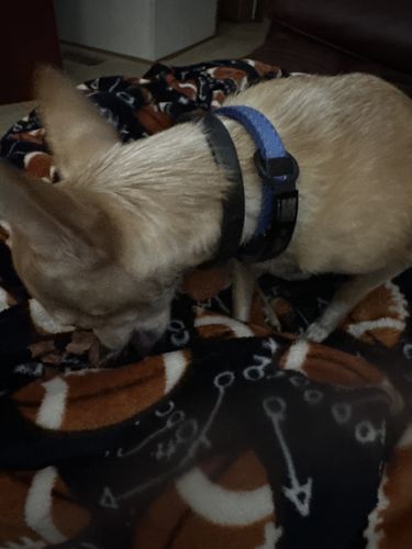 Customer photo review of ByteTag Slide