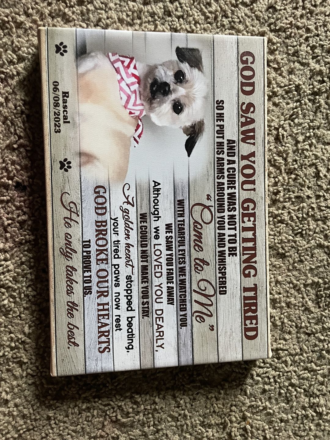 Customer photo review of Personalized Photo Canvas Prints, Dog Loss Gifts, Pet Memorial Gifts, Dog Sympathy, God Saw You Getting Tired Dem Canvas