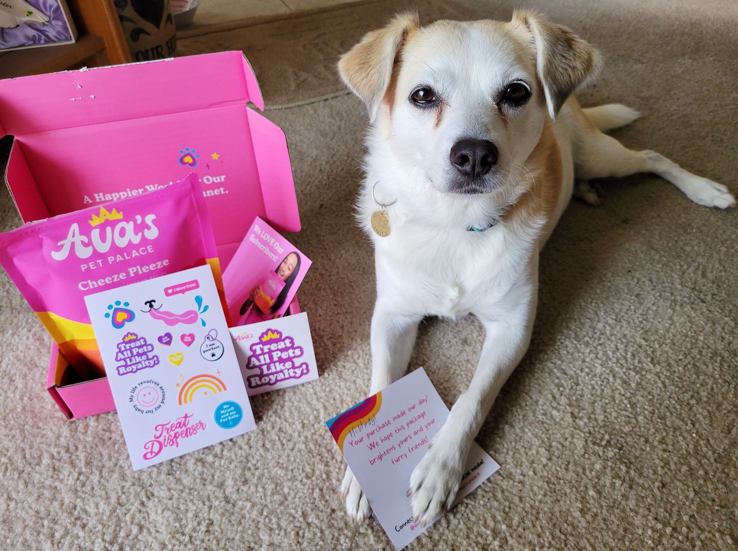 Customer photo review of Organic Baked Dog Treats - Cheeze Pleeze