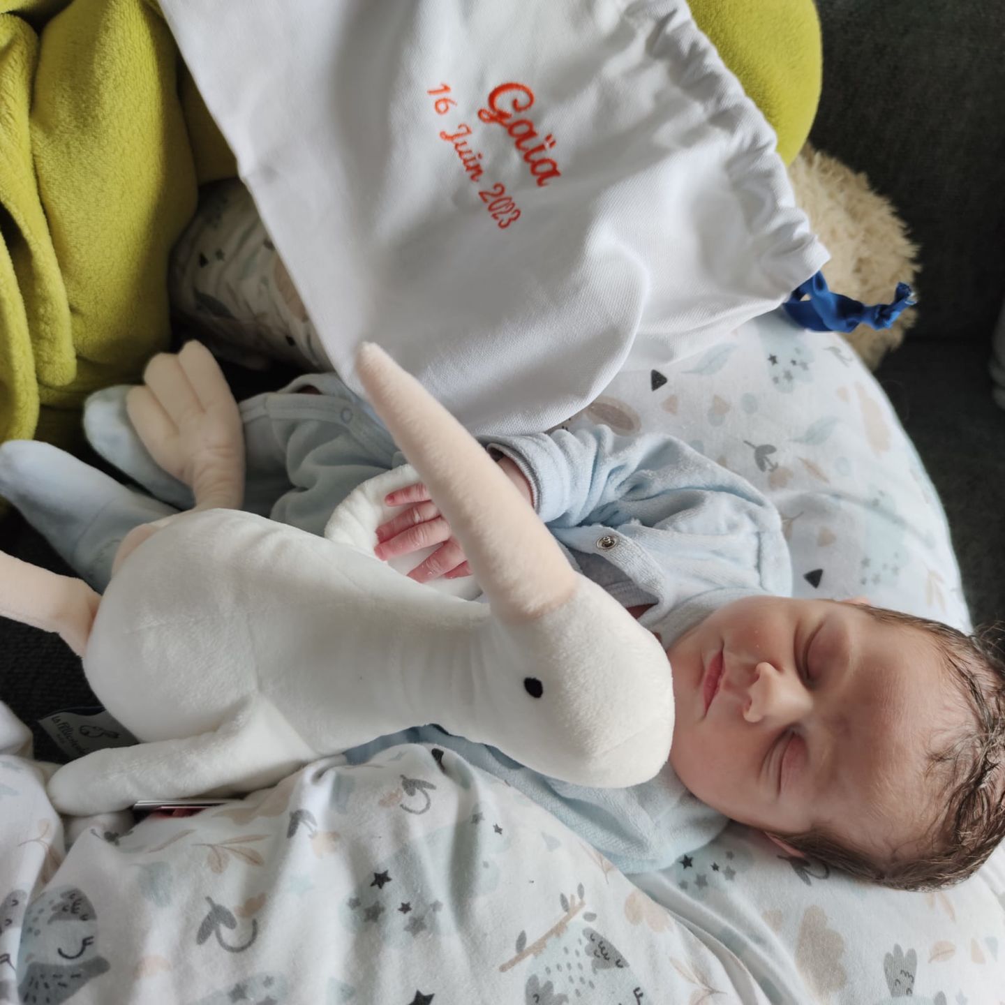 Customer photo review of Mon Premier doudou Cigogne