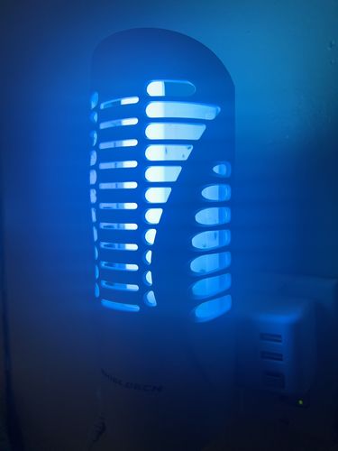 Customer photo review of Shieldeck® BuzzTrap - Plug-In Indoor Insect Smart UV Trap