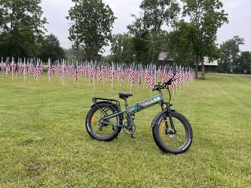 Customer photo review of 2025 Wallke X3 Max Folding 2800W Electric Bike