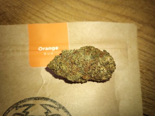 Customer photo review of Orange Bud Ökopack