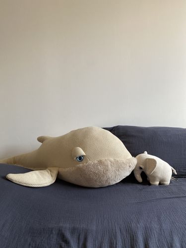 Customer photo review of The Giant Whale