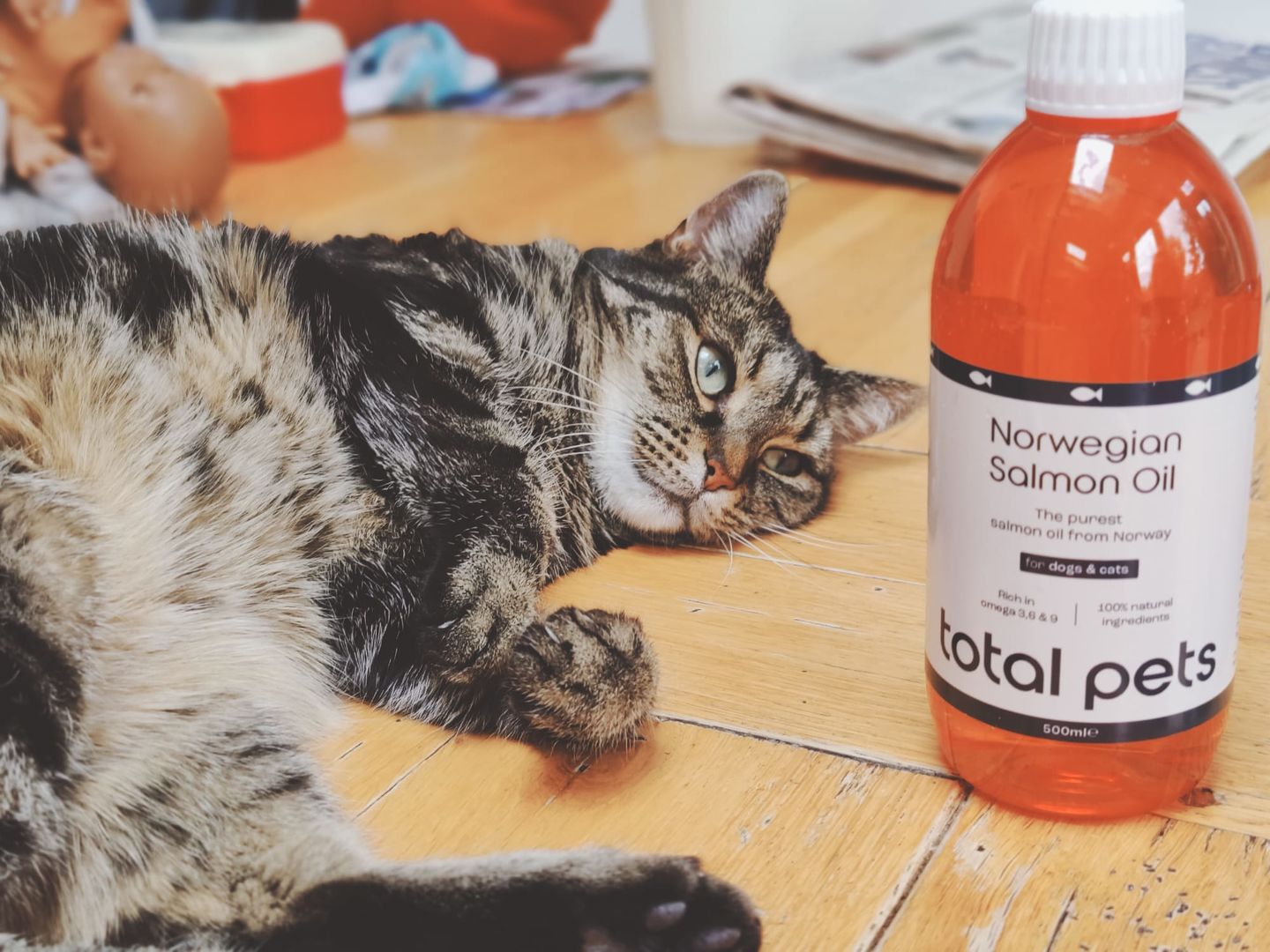 Customer photo review of Norwegian Salmon Oil For Dogs & Cats