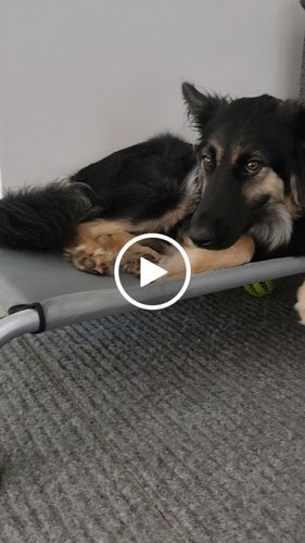 Customer video review of Heavy Duty Replacement Feet x 4