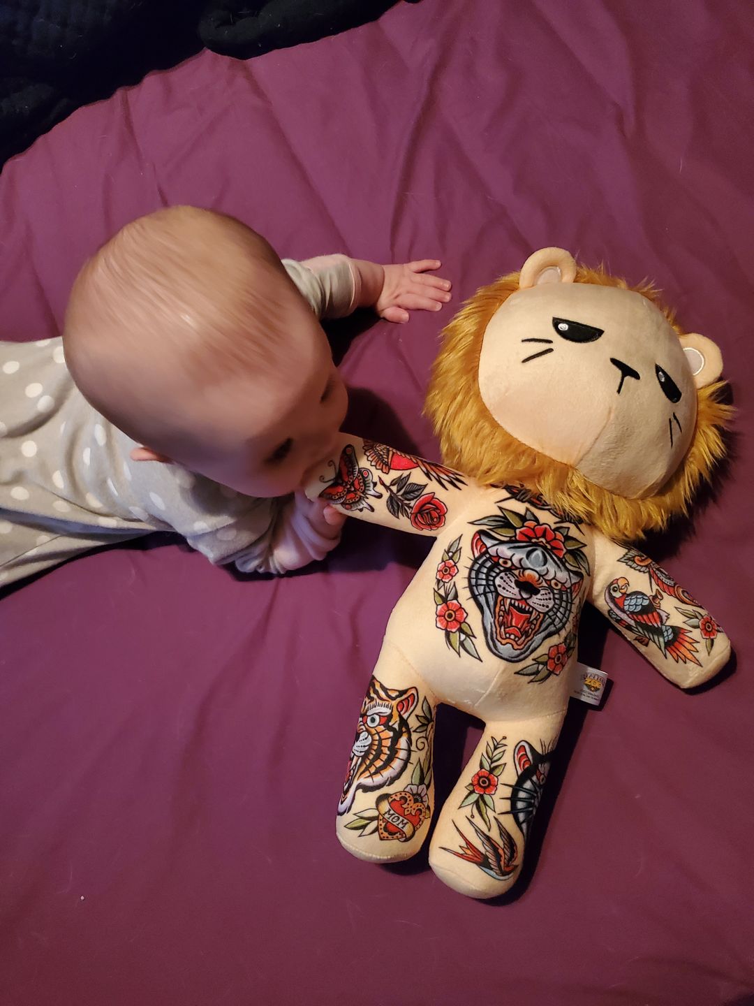 Customer photo review of Samuele the Alpha Male Lion