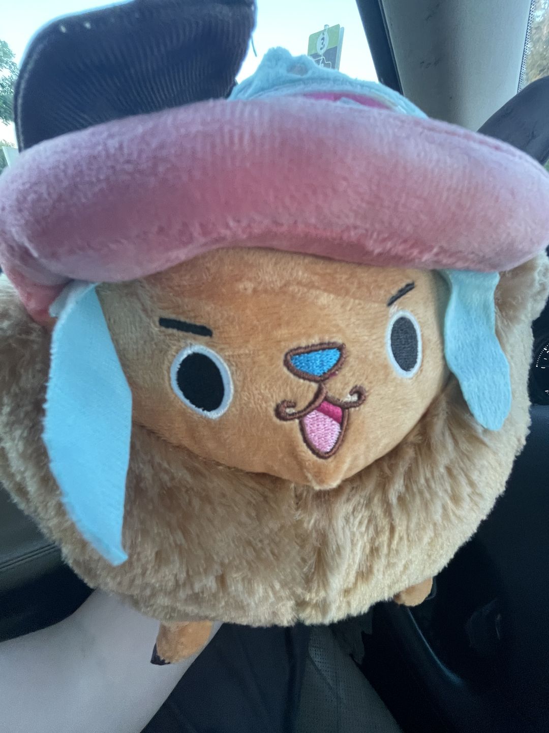 Customer photo review of Chopper Guard Point - Plush Doll